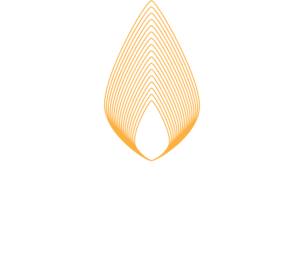 Chihuahua Fashion Mall