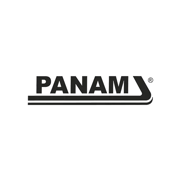 Logotipo de Panam en color negro con letras mayúsculas y un diseño de doble línea curva debajo, sobre fondo transparente.