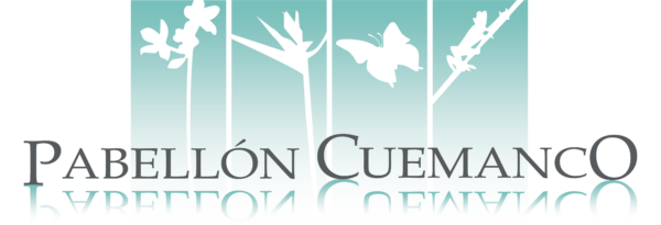 Portal Centro